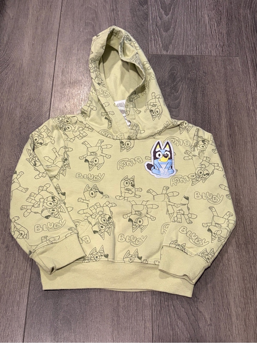 Kids' 2T Bluey Hooded Sweatshirt - Light Green